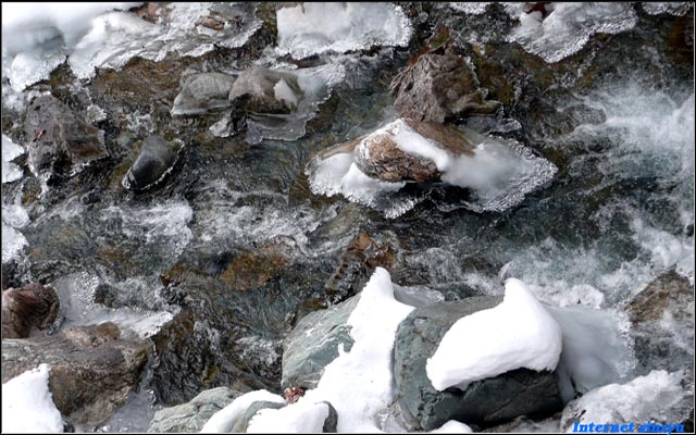 一気に寒波がきて小川も凍てついてしまった。