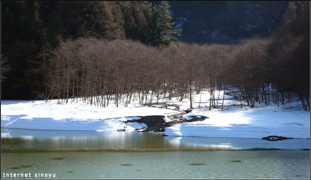 冬の矢筈ダムの湖岸。
