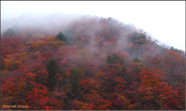 南アルプス山麓の山小屋周辺の紅葉