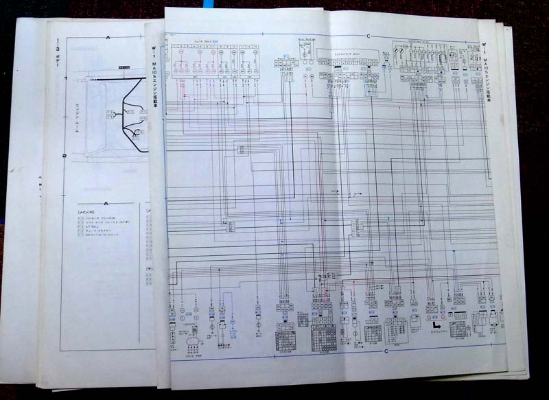 パオがやってきた。奮闘記